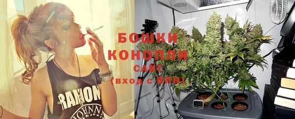 гидра Балабаново
