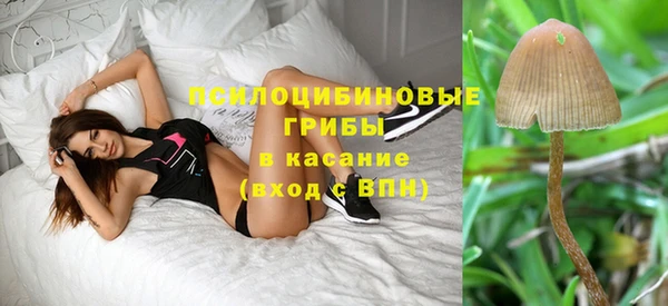 гидра Балабаново
