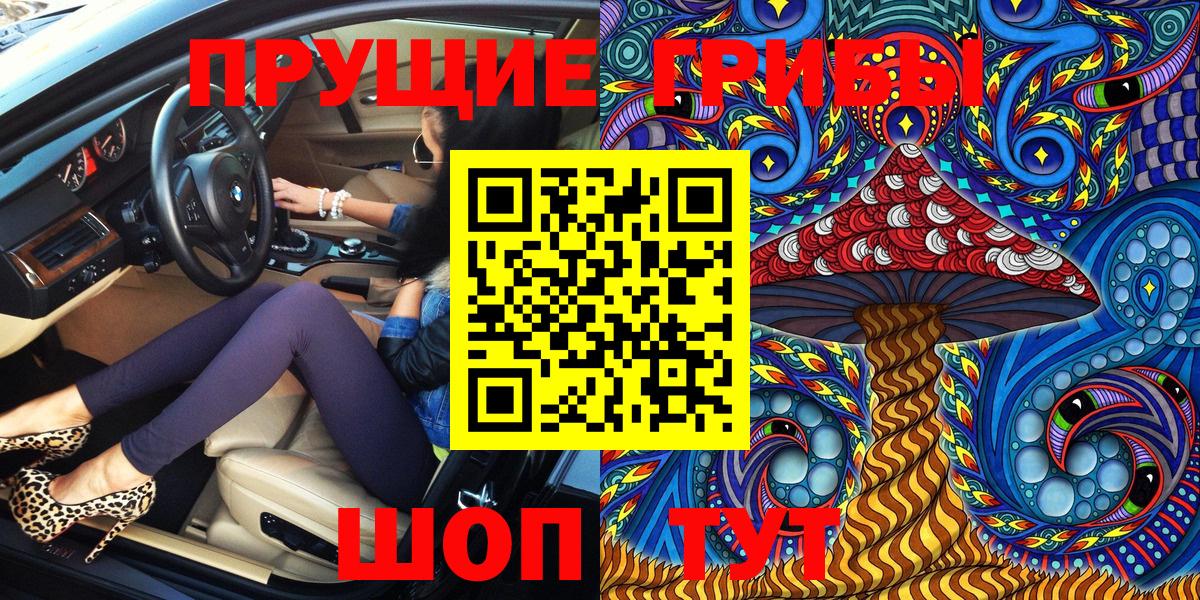 Семилуки  Галлюциногенные грибы Cubensis  Вход с VPN 