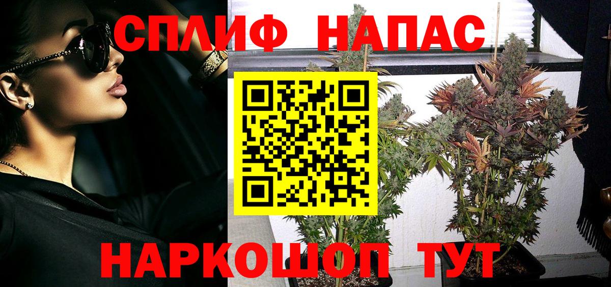 Бошки марихуана MAZAR  МАРИХУАНА гибрид  Семилуки  Вход с VPN  Конопля марихуана 